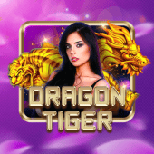 Dragon Tiger live dealer table preview